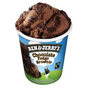 TARRINA BEN & JERRY FUDGE BROWNIE
